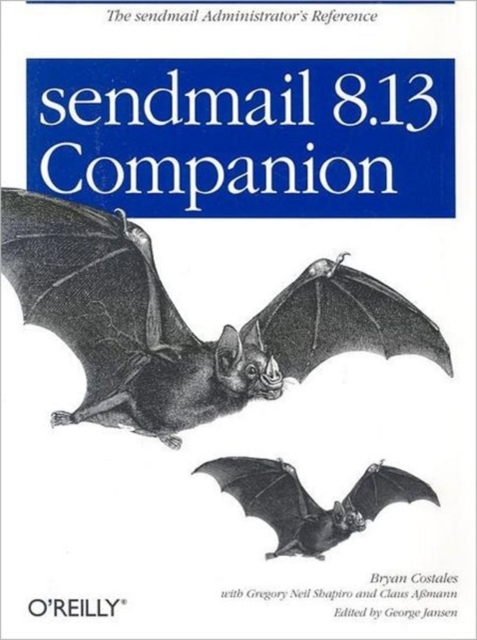 sendmail 8.13 Companion, Paperback / softback Book