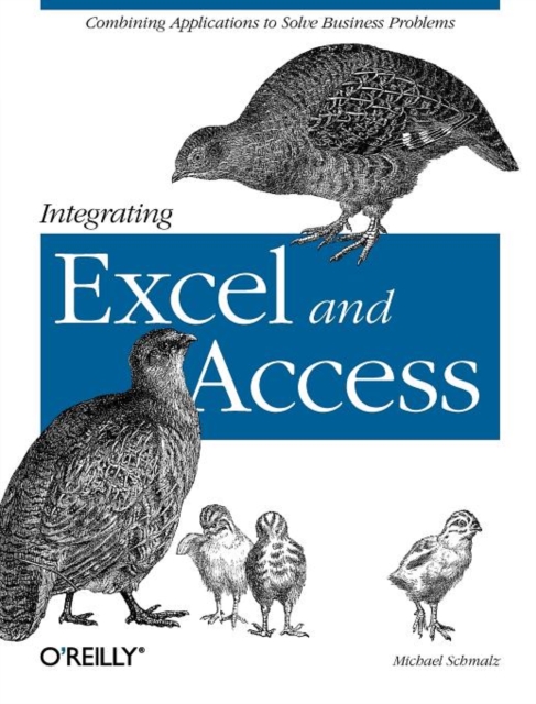 Integrating Excel and Access, Paperback / softback Book