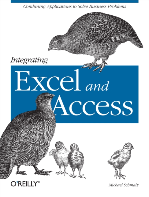 Integrating Excel and Access : Combining Applications to Solve Business Problems, PDF eBook