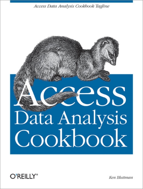Access Data Analysis Cookbook : Slicing and Dicing to Find the Results You Need, PDF eBook