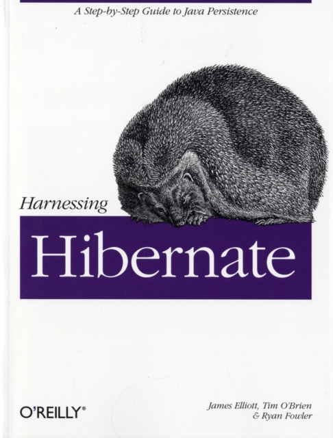 Harnessing Hibernate, Paperback / softback Book