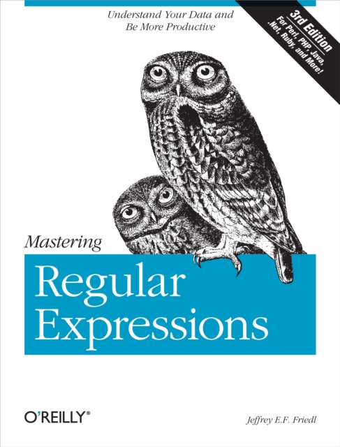 Mastering Regular Expressions : Understand Your Data and Be More Productive, PDF eBook