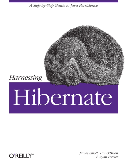 Harnessing Hibernate : Step-by-step Guide to Java Persistence, EPUB eBook