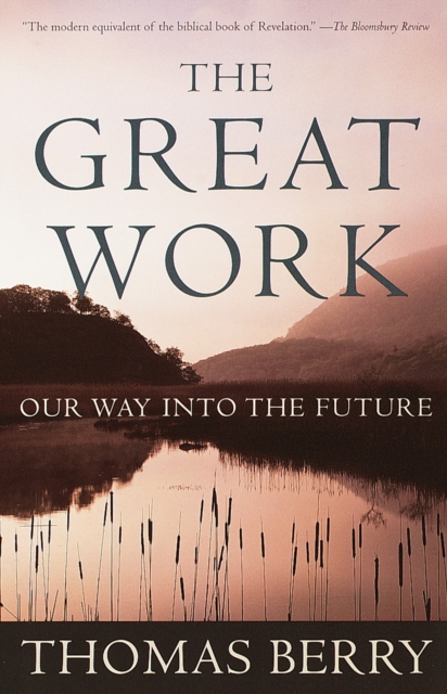 The Great Work : Our Way into the Future, Paperback / softback Book