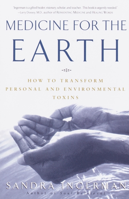 Medicine for the Earth : How to Transform Personal and Environmental Toxins, Paperback / softback Book