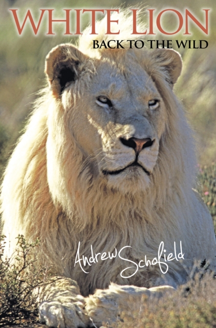 White Lion : Back to the Wild, EPUB eBook