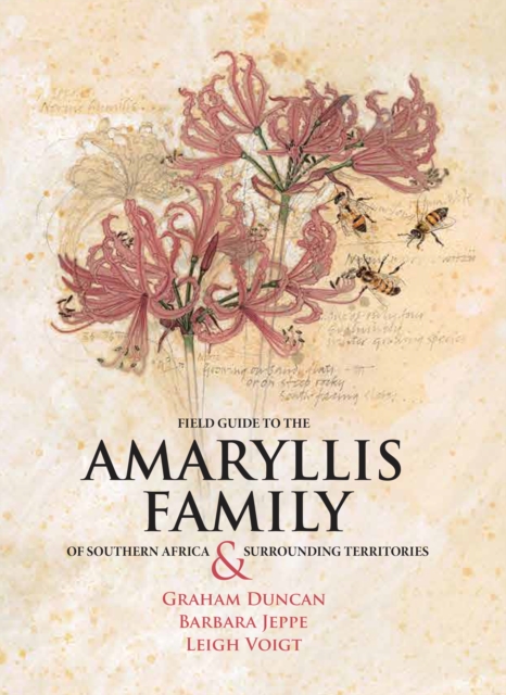 Field Guide to the Amaryllis Family of Southern Africa and Surrounding Territories, Paperback / softback Book