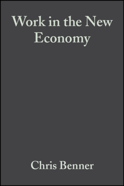 Work in the New Economy : Flexible Labor Markets in Silicon Valley, Hardback Book