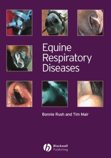 Equine Respiratory Diseases, Paperback / softback Book