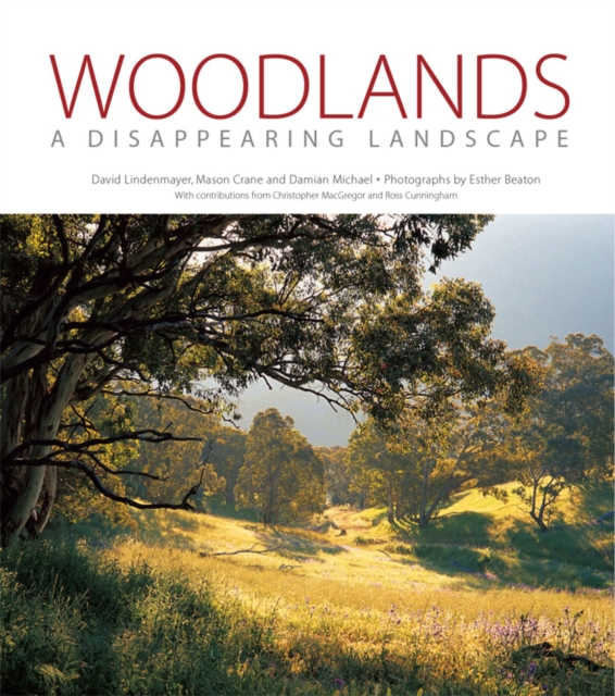 Woodlands : A Disappearing Landscape, PDF eBook