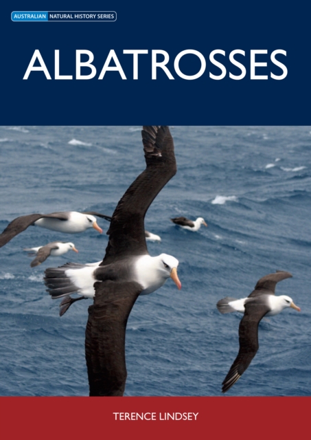 Albatrosses, PDF eBook
