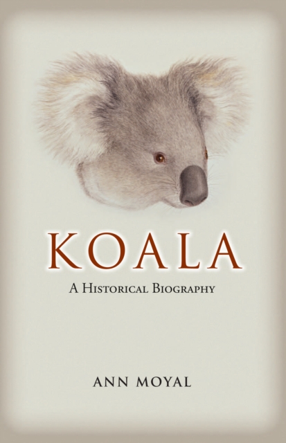 Koala : A Historical Biography, PDF eBook