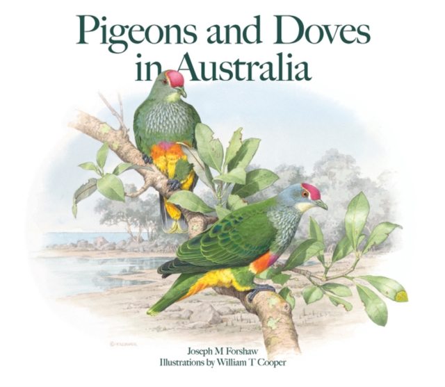 Pigeons and Doves in Australia, Hardback Book