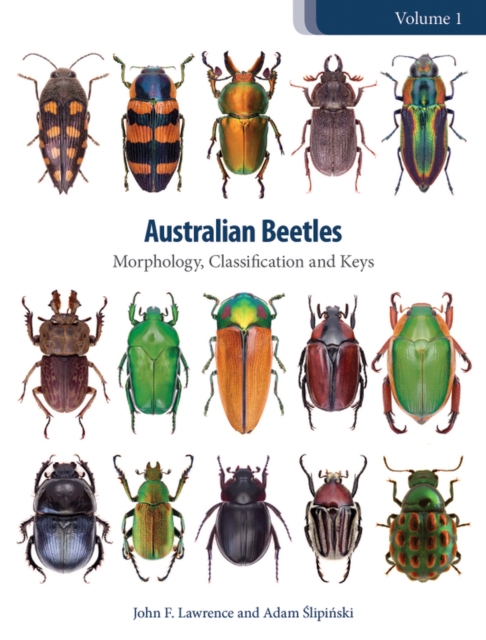 Australian Beetles Volume 1 : Morphology, Classification and Keys, Hardback Book