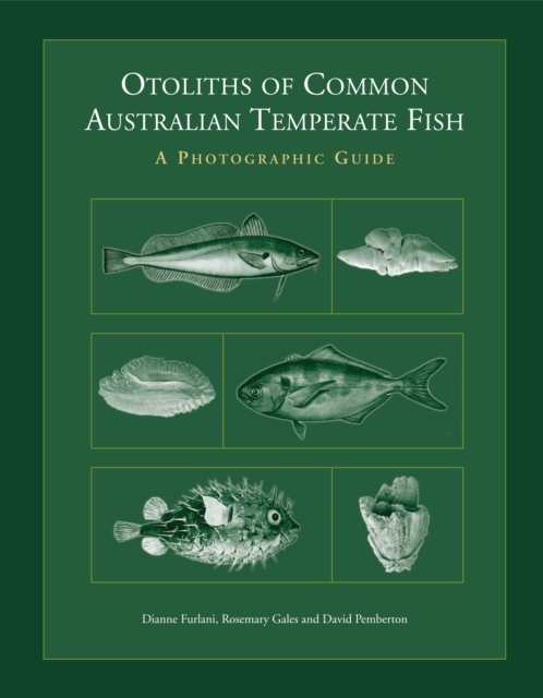 Otoliths of Common Australian Temperate Fish : A Photographic Guide, PDF eBook