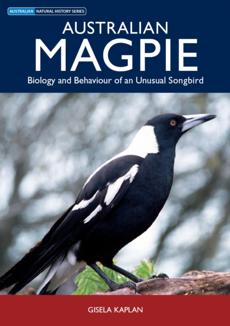 Australian Magpie : Biology and Behaviour of an Unusual Songbird, EPUB eBook