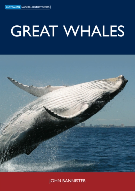 Great Whales, EPUB eBook