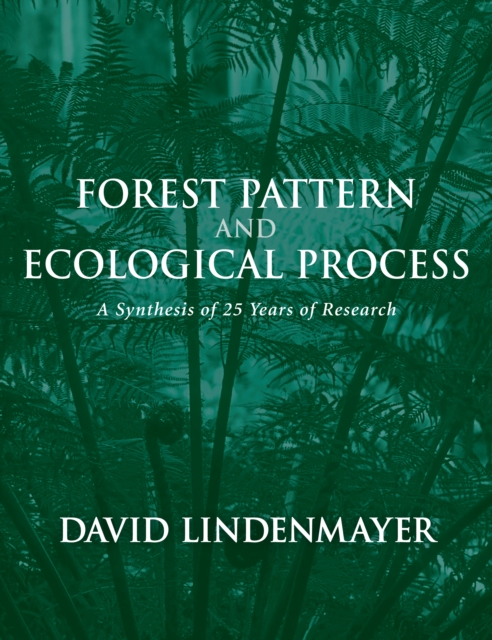 Forest Pattern and Ecological Process : A Synthesis of 25 Years of Research, EPUB eBook