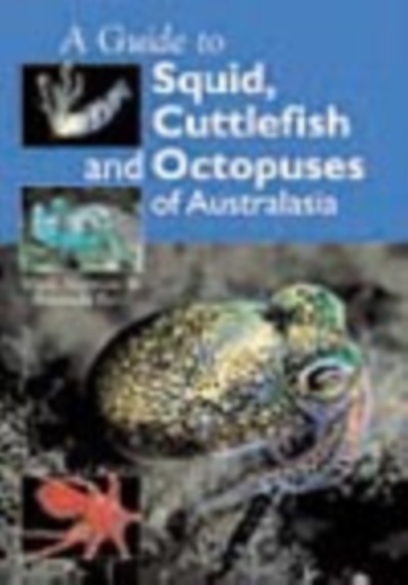 Guide to Squid, Cuttlefish and Octopuses of Australasia, PDF eBook