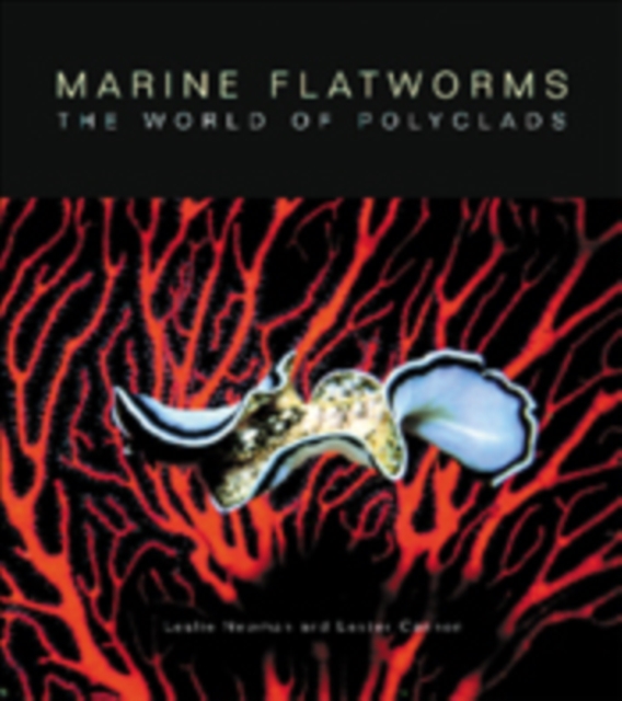 Marine Flatworms : The World of Polyclads, PDF eBook