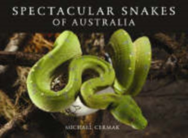 Spectacular Snakes of Australia, PDF eBook