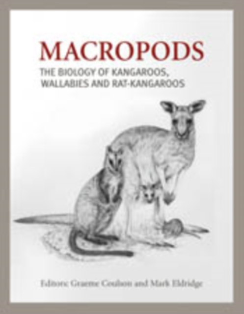Macropods : The Biology of Kangaroos, Wallabies and Rat-kangaroos, EPUB eBook