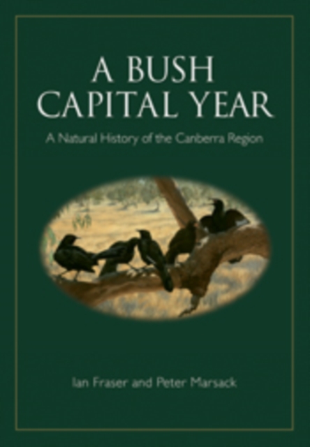 A Bush Capital Year : A Natural History of the Canberra Region, EPUB eBook