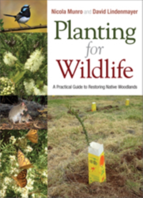 Planting for Wildlife : A Practical Guide to Restoring Native Woodlands, PDF eBook
