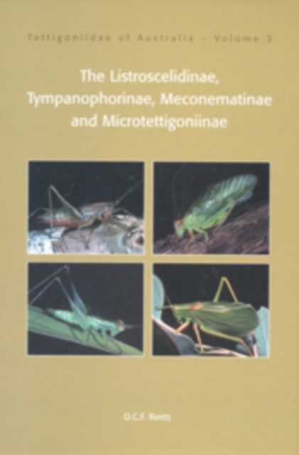 Tettigoniidae of Australia Volume 3 : Listroscelidinae, Tympanophorinae, Meconematinae and Microtettigoniinae, EPUB eBook