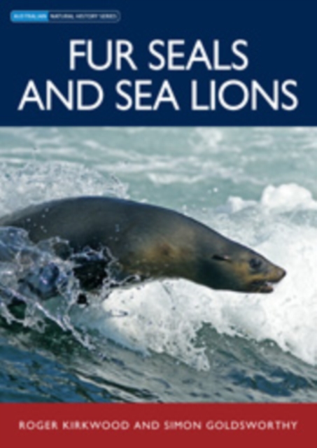 Fur Seals and Sea Lions, PDF eBook