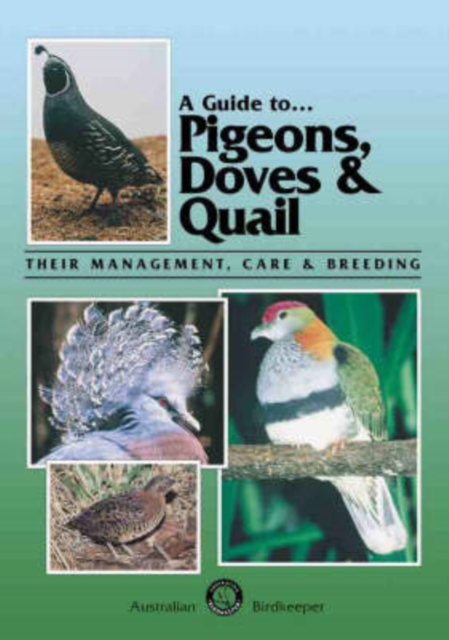 Pigeons, Doves and Quail, Paperback / softback Book