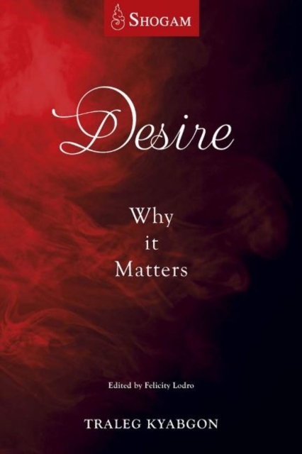 Desire : Why It Matters, Paperback / softback Book