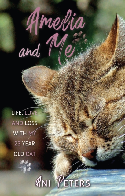 Amelia and Me : Life, Love and Loss with My 23 Year Old Cat, Paperback / softback Book