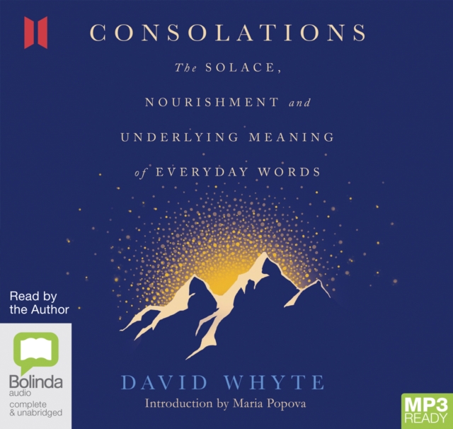 Consolations : The Solace, Nourishment and Underlying Meaning of Everyday Words, Audio disc Book
