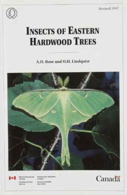 Insects of Eastern Hardwood Trees, Paperback / softback Book