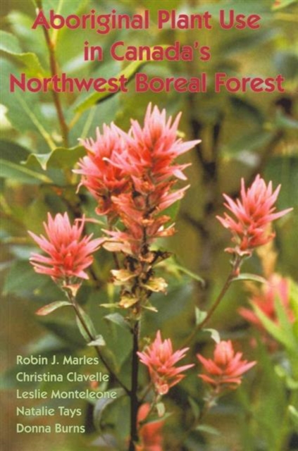 Aboriginal Plant Use in Canada's Northwest Boreal Forest, Paperback / softback Book
