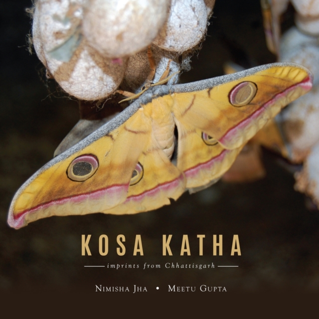 Kosa Katha : imprints from Chattisgarh, Hardback Book