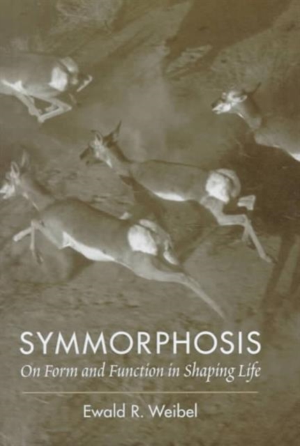 Symmorphosis : On Form and Function in Shaping Life, Hardback Book