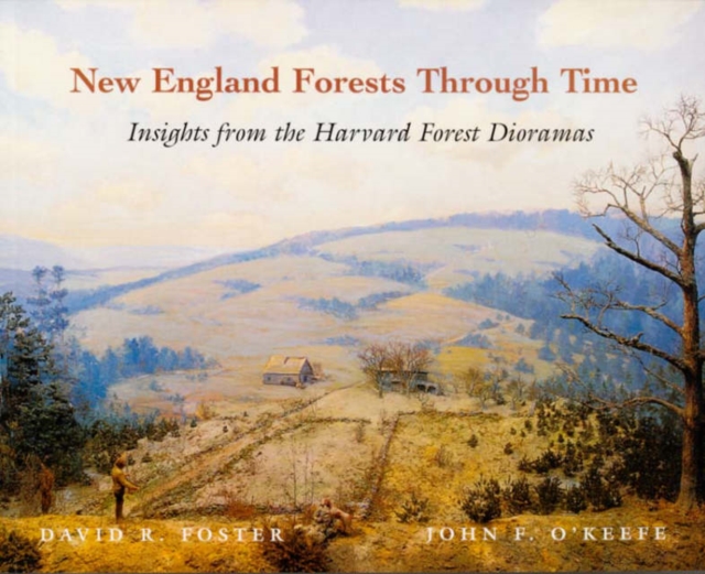 New England Forests Through Time : Insights from the Harvard Forest Dioramas, Paperback / softback Book