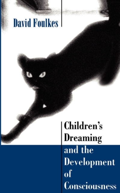 Children’s Dreaming and the Development of Consciousness, Paperback / softback Book