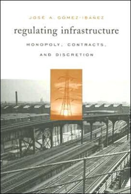 Regulating Infrastructure : Monopoly, Contracts, and Discretion, Paperback / softback Book
