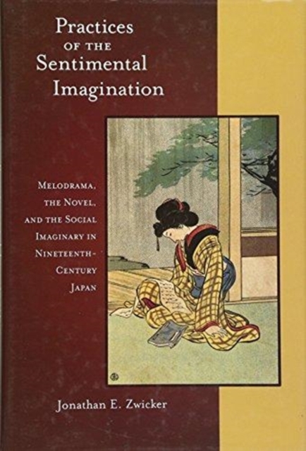 Practices of the Sentimental Imagination : Melodrama, the Novel, and the Social Imaginary in Nineteenth-Century Japan, Hardback Book