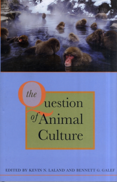 The Question of Animal Culture, Hardback Book