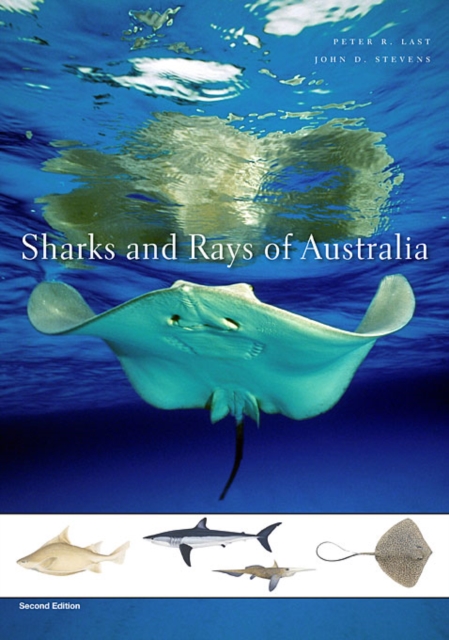 Sharks and Rays of Australia : Second Edition, Hardback Book