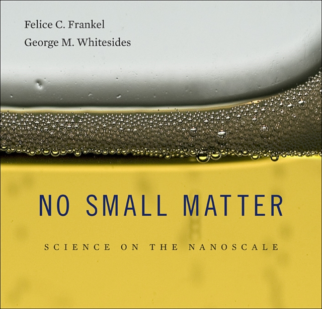 No Small Matter : Science on the Nanoscale, Hardback Book