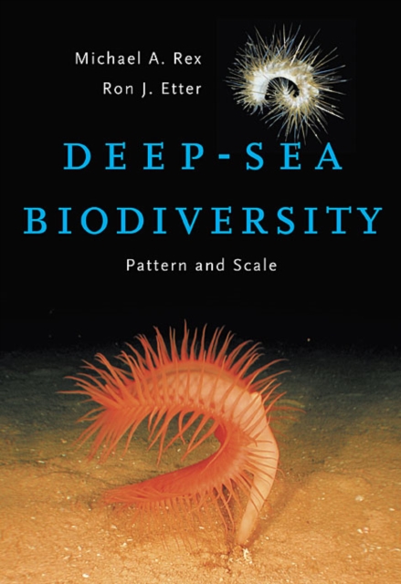 Deep-Sea Biodiversity : Pattern and Scale, Hardback Book