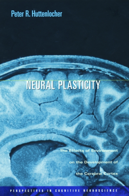 Neural Plasticity : The Effects of Environment on the Development of the Cerebral Cortex, PDF eBook