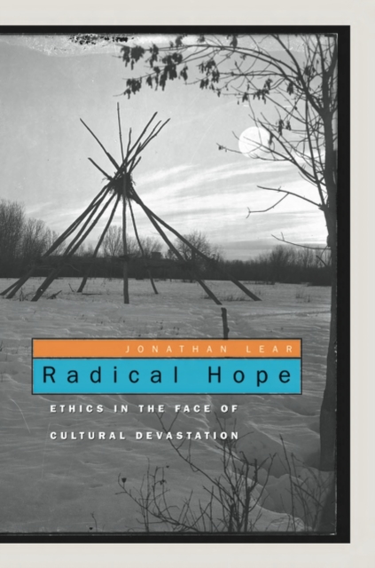 Radical Hope : Ethics in the Face of Cultural Devastation, PDF eBook