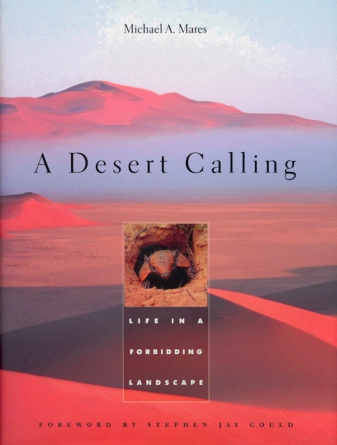 A Desert Calling : Life in a Forbidding Landscape, PDF eBook