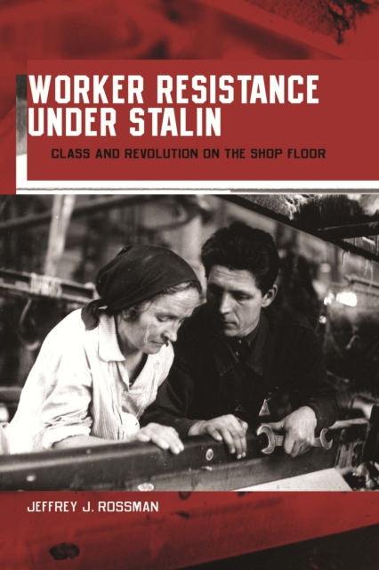 Worker Resistance under Stalin : Class and Revolution on the Shop Floor, PDF eBook